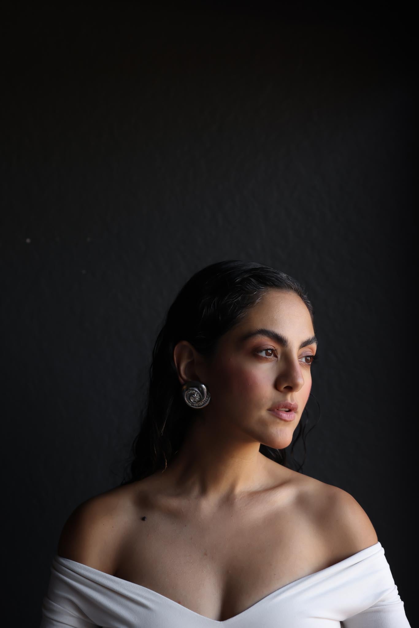 Swirl Crest Earrings