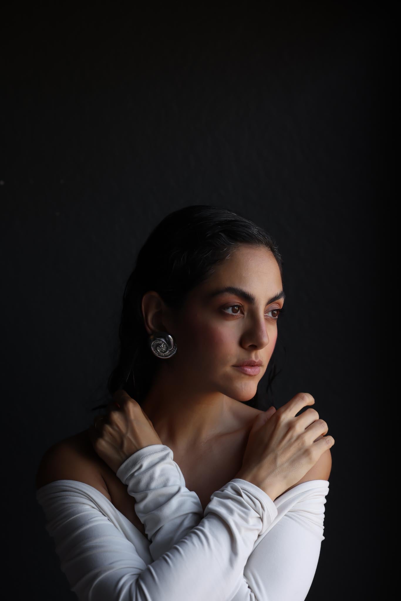 Swirl Crest Earrings