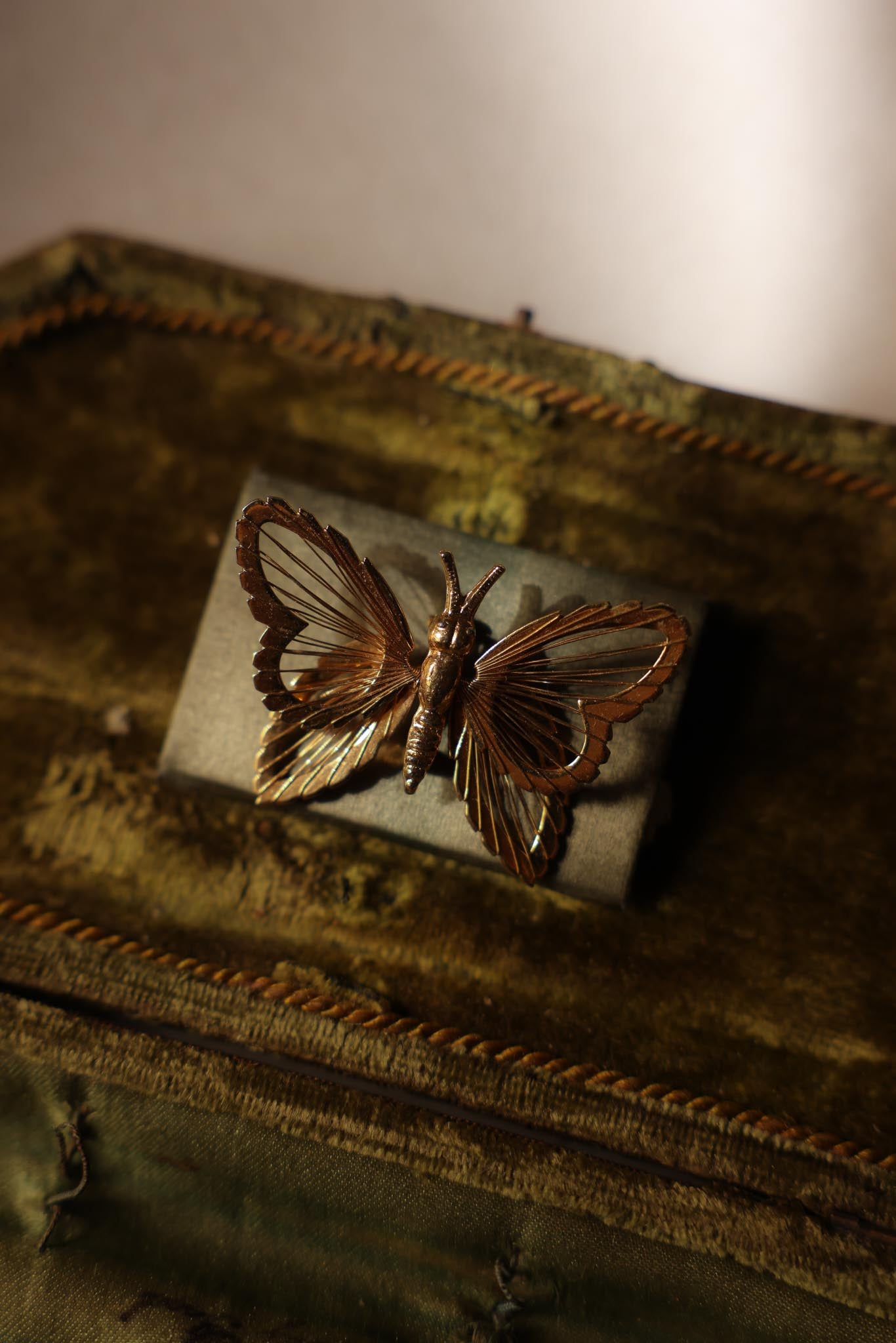 Butterfly Brooch