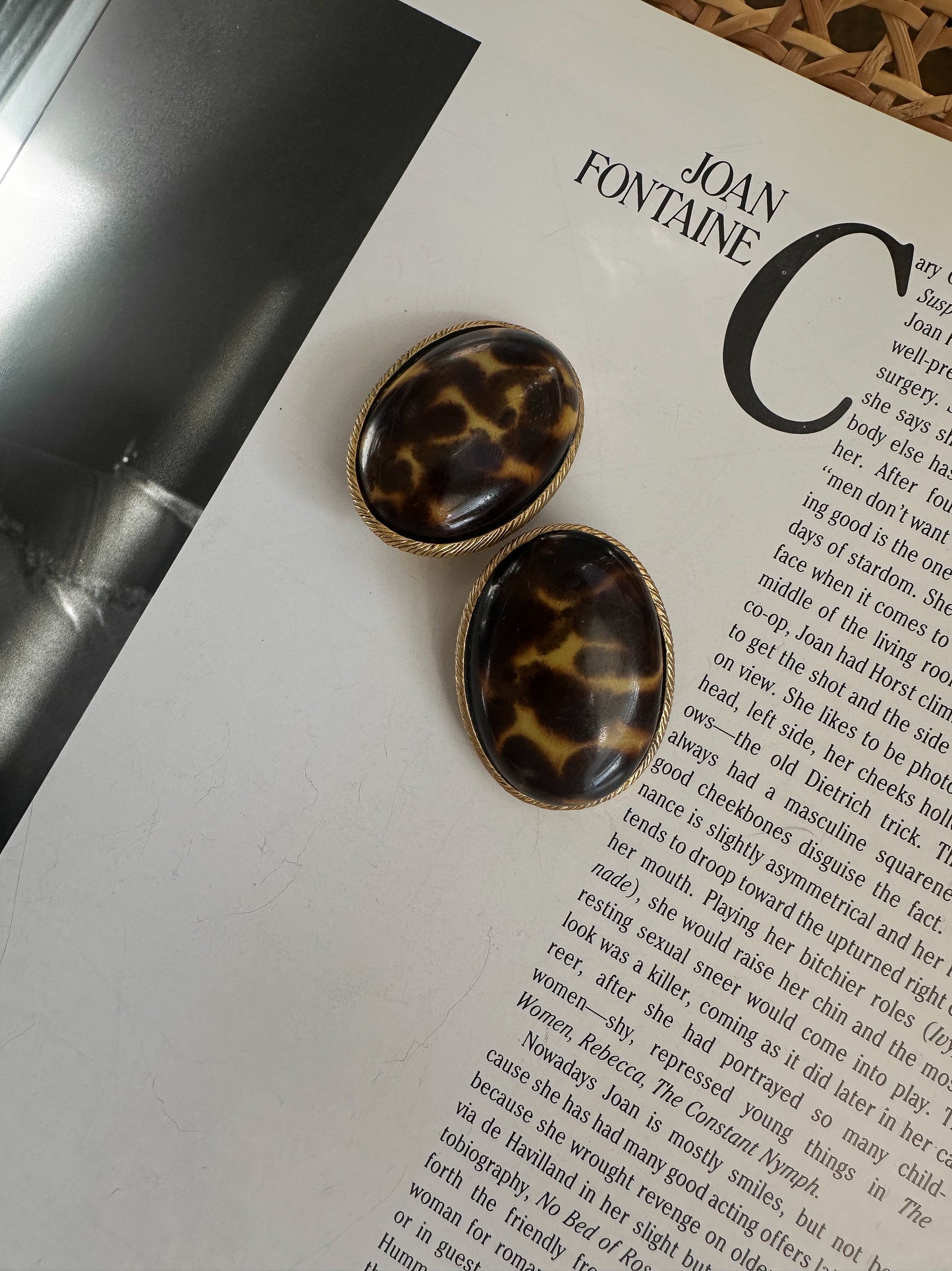 Leopard Obsession|Vintage Baazaar 