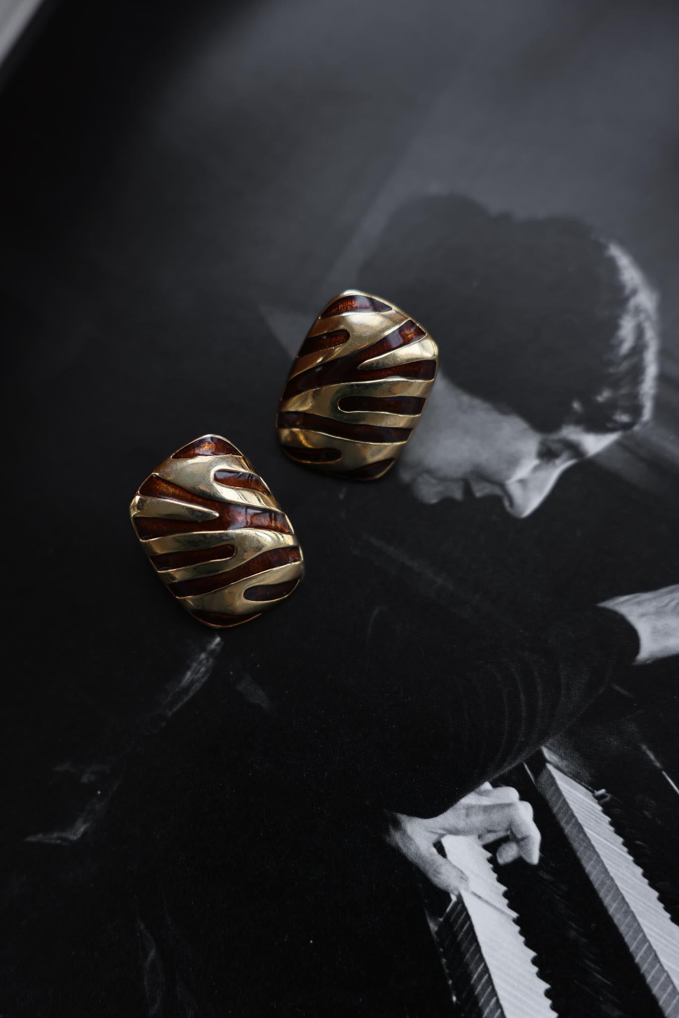 Golden Zebra Stripe Earrings|Vintage Baazaar 