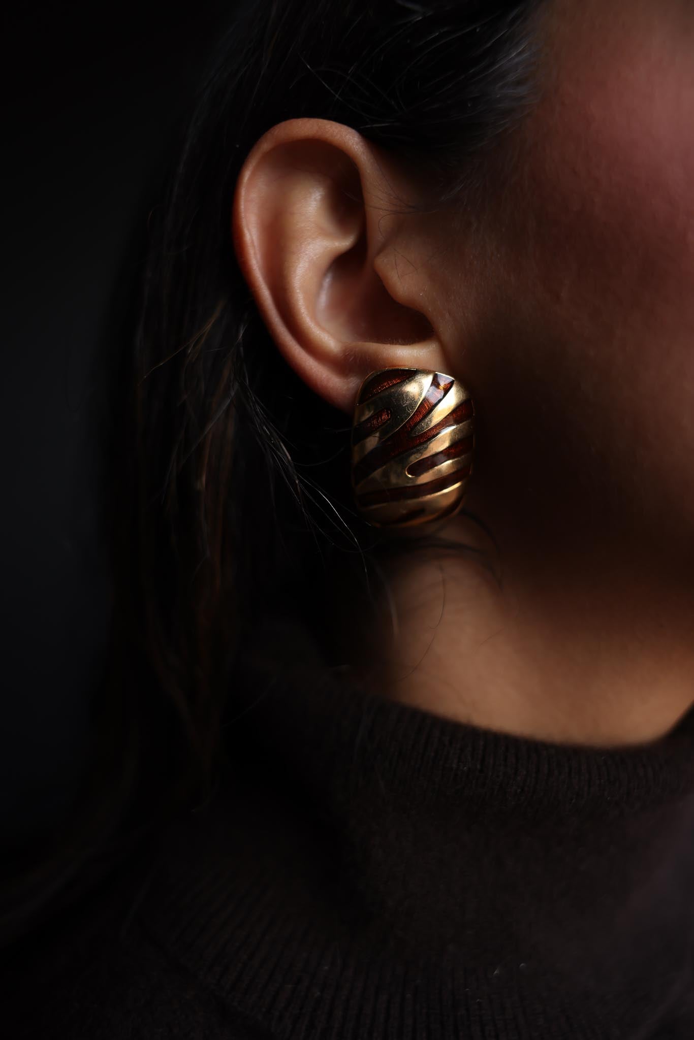 Golden Zebra Stripe Earrings|Vintage Baazaar 