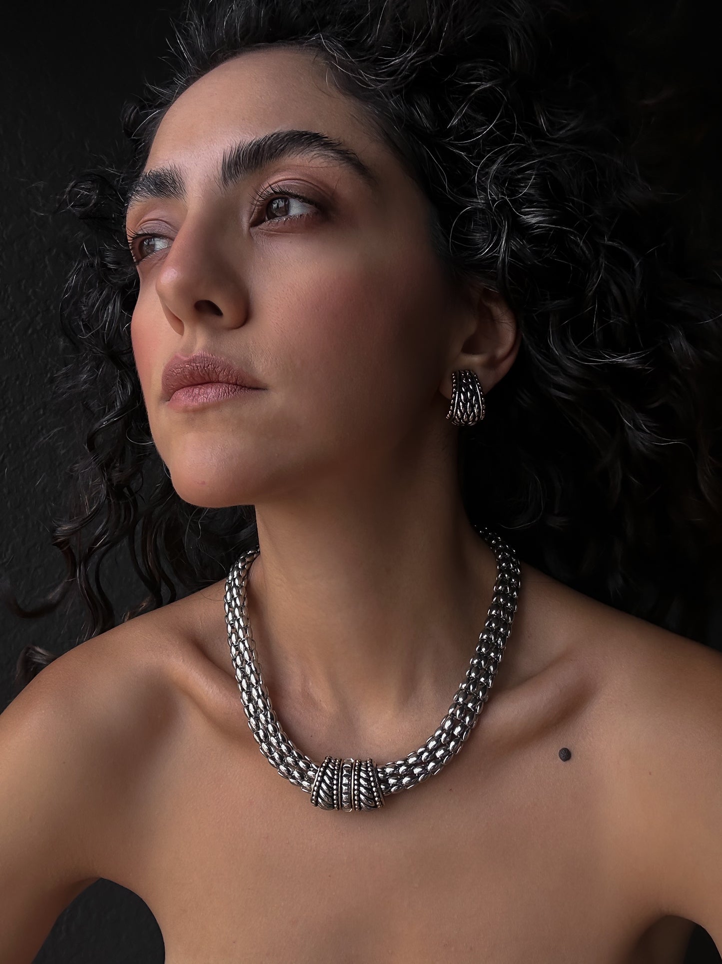 Silver Luxe Dynasty Set|Vintage Baazaar 