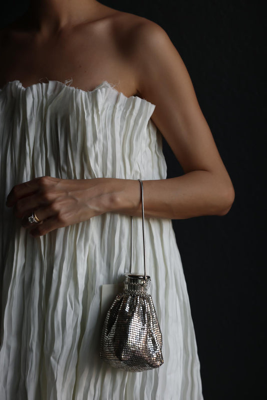 1920s Whiting & Davis Silver Mesh Wrist Bag