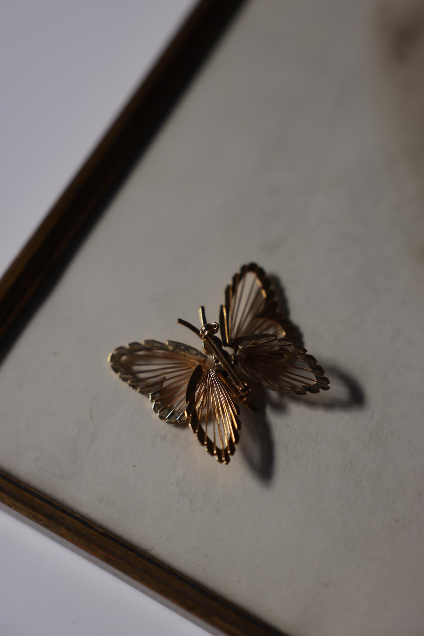 Monet Butterfly Brooch