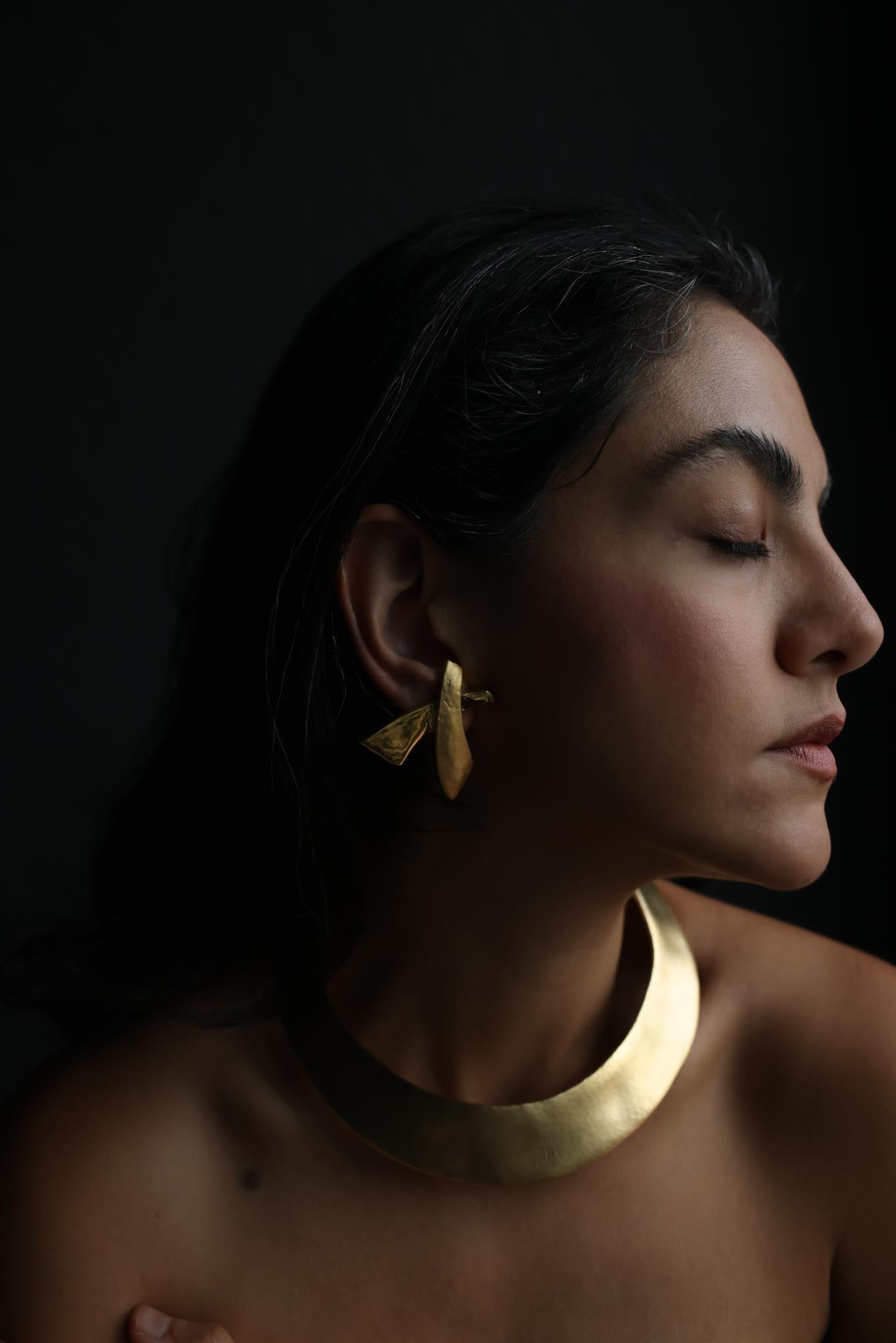 Two-Tone Abstract Clip-On Earrings