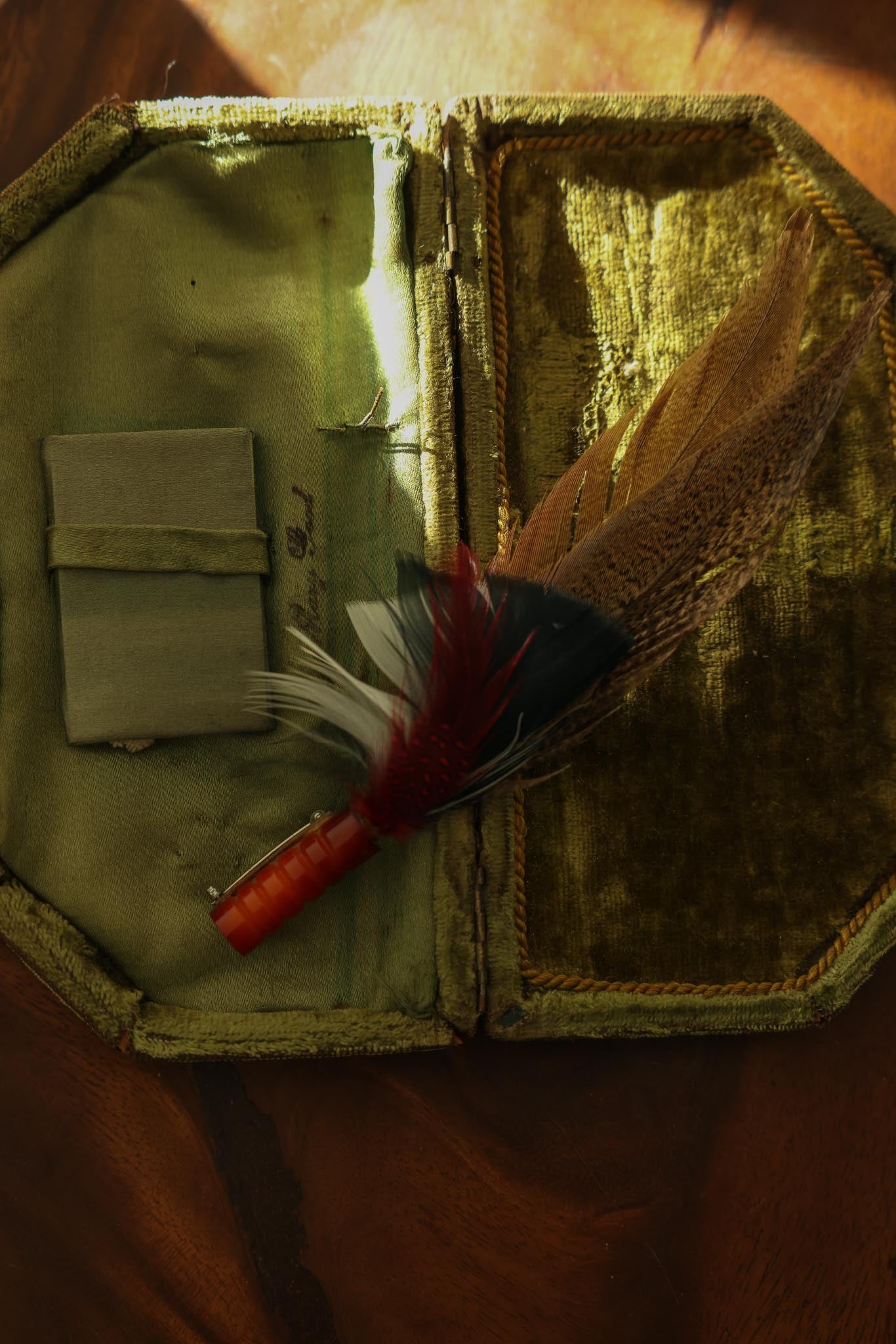 1920s Feather Hat Brooch