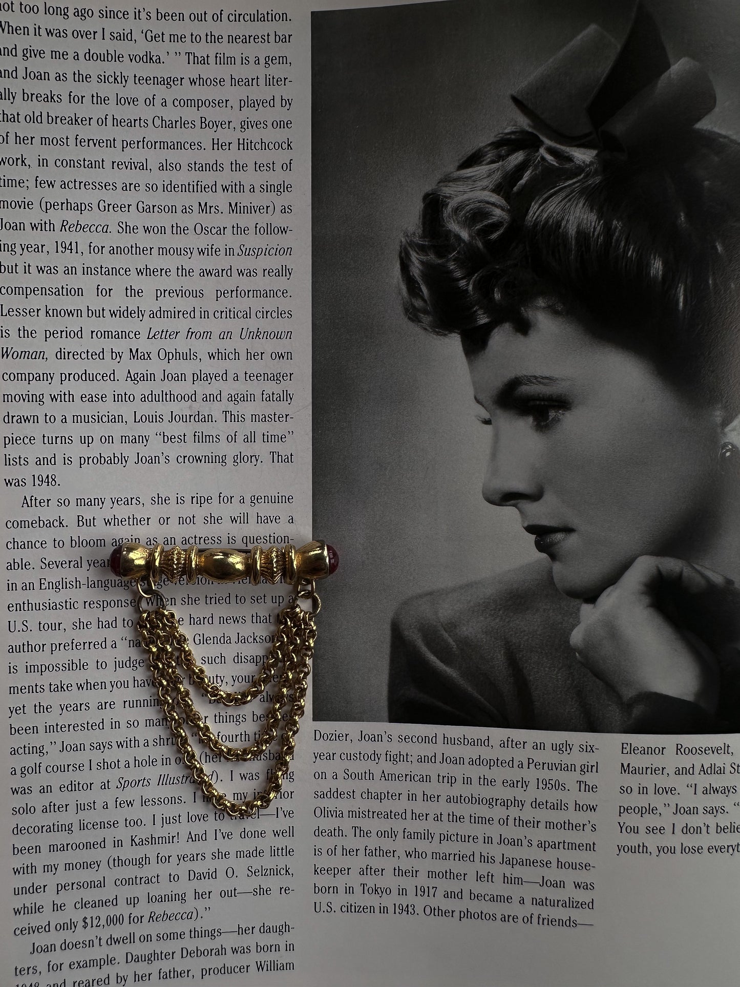 Crimson Chain Brooch|Vintage Baazaar 
