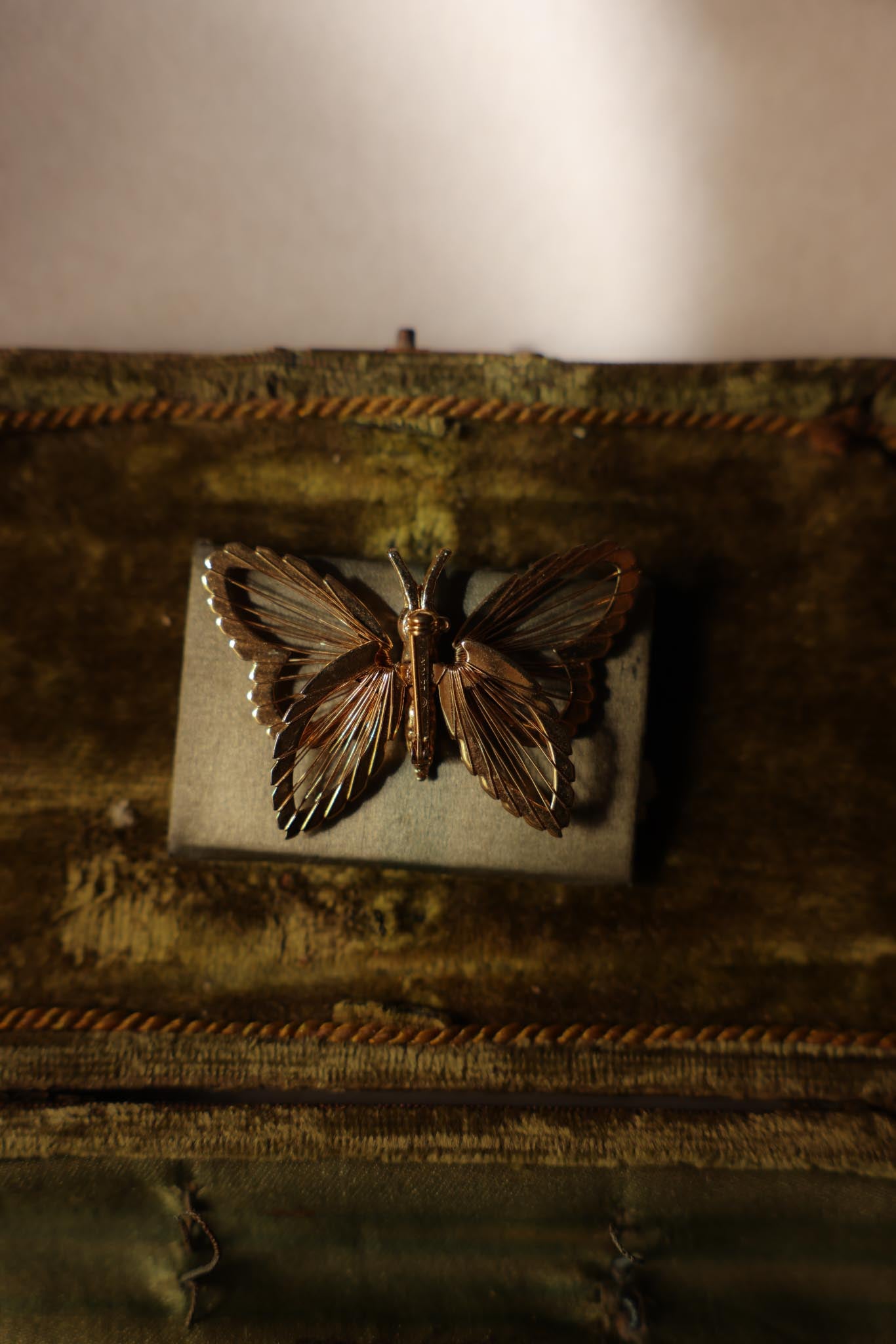 Butterfly Brooch