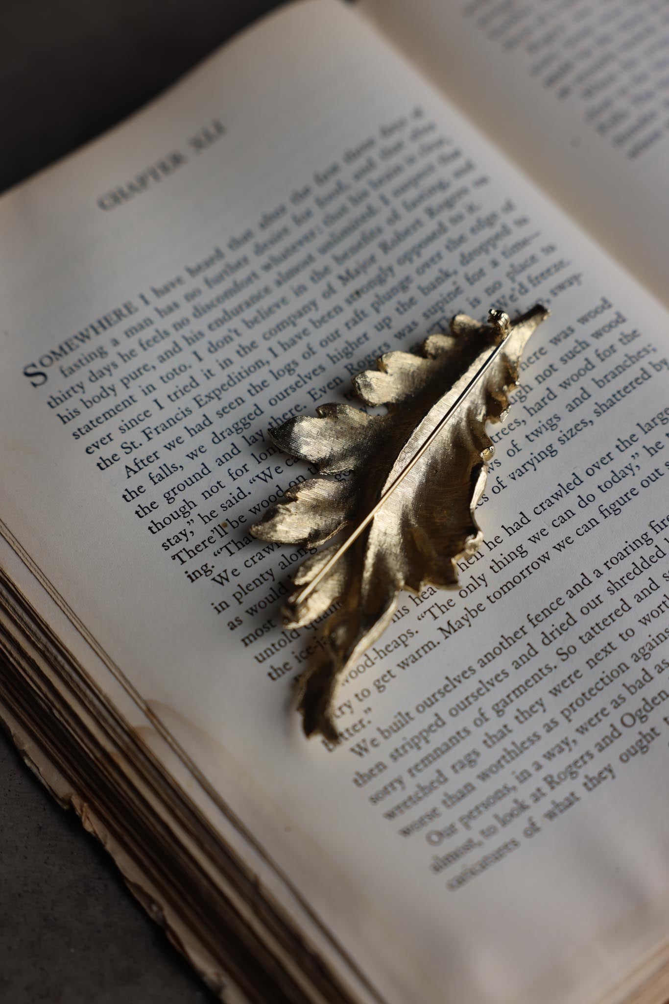 Gold Tone Feather Brooch