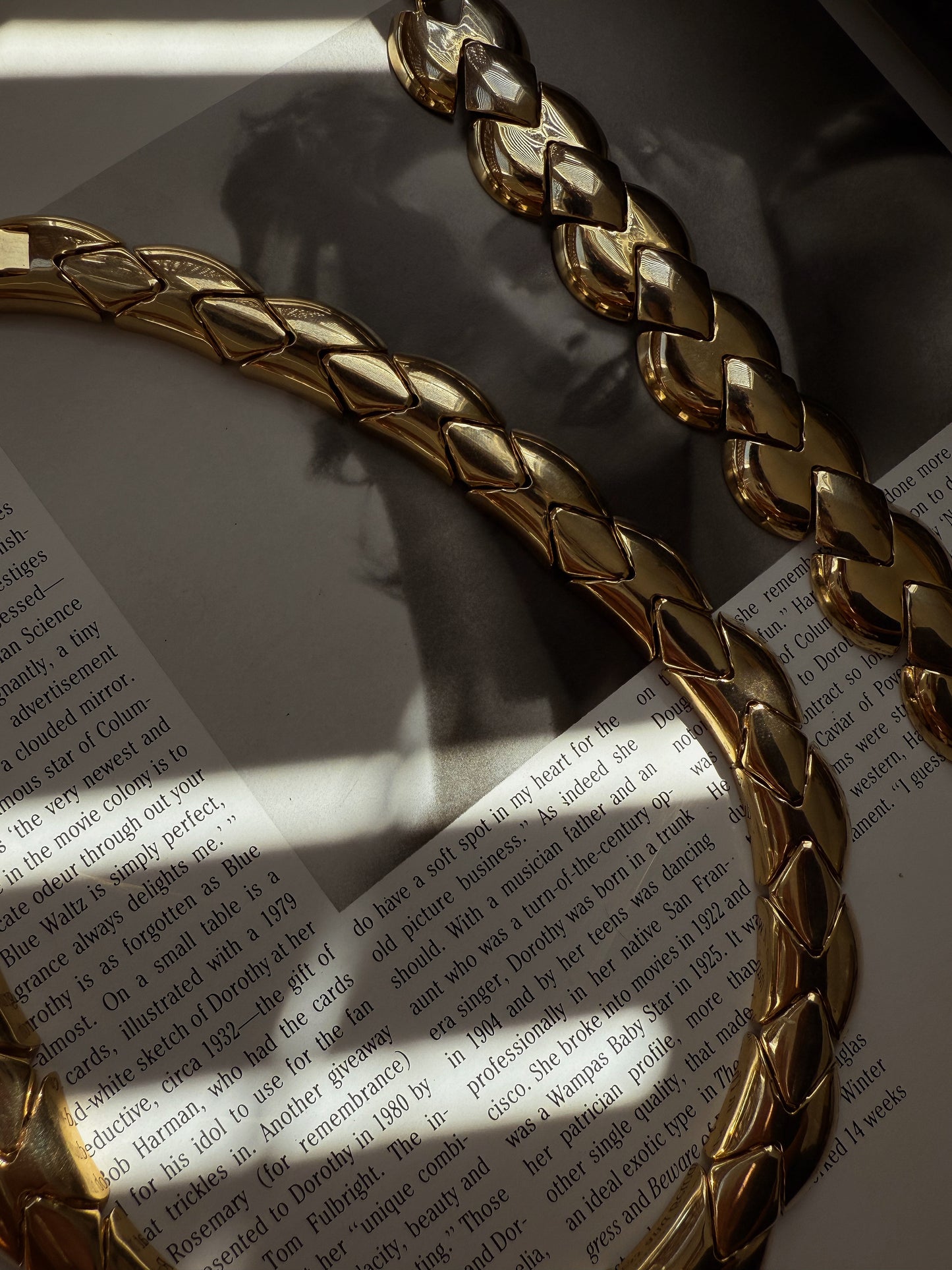 Gold Tone Segmented Snake set Necklace & Bracelet|Vintage Baazaar 